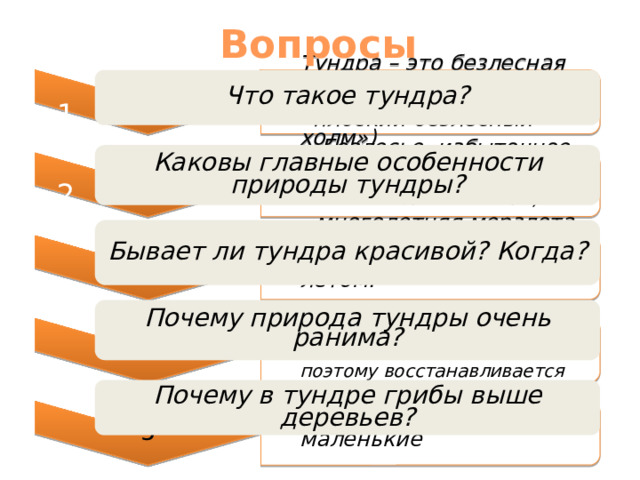 Тундра – это безлесная зона субарктического пояса (с финского «плоский безлесный холм») Безлесье, избыточное увлажнение, заболоченность, многолетняя мерзлота 3 Да, тундра красива летом. 4 Корневая система растений слабо развита из-за многолетней мерзлоты, поэтому восстанавливается очень долго 5 В тундре деревья очень маленькие Вопросы Что такое тундра? 1 Каковы главные особенности природы тундры? 2 Бывает ли тундра красивой? Когда? Почему природа тундры очень ранима? Для получения верного ответа, кликните плашку с вопросом Почему в тундре грибы выше деревьев? 8 