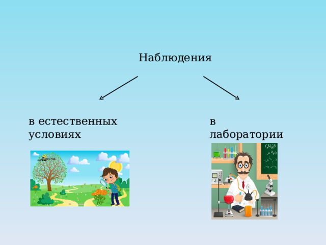Наблюдения в естественных условиях в лаборатории 
