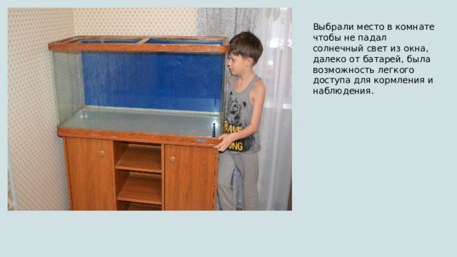 Выбрали место в комнате чтобы не падал солнечный свет из окна, далеко от батарей, была возможность легкого доступа для кормления и наблюдения. 