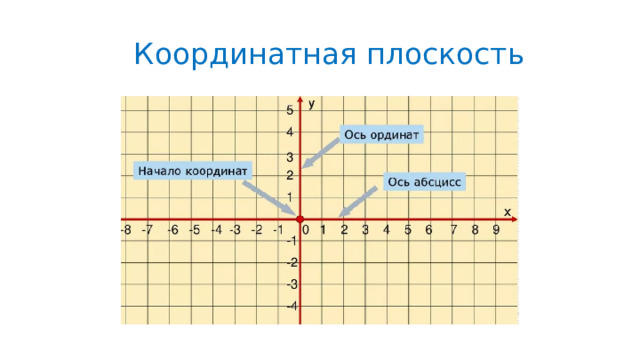  Координатная плоскость 