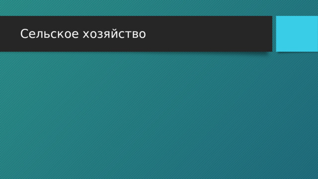 Сельское хозяйство 