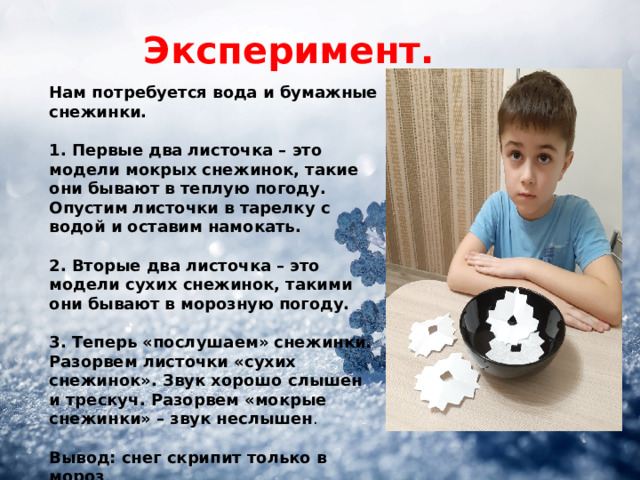 Эксперимент. Нам потребуется вода и бумажные снежинки.  1. Первые два листочка – это модели мокрых снежинок, такие они бывают в теплую погоду. Опустим листочки в тарелку с водой и оставим намокать.  2. Вторые два листочка – это модели сухих снежинок, такими они бывают в морозную погоду.  3. Теперь «послушаем» снежинки. Разорвем листочки «сухих снежинок». Звук хорошо слышен и трескуч. Разорвем «мокрые снежинки» – звук неслышен .  Вывод: снег скрипит только в мороз . 