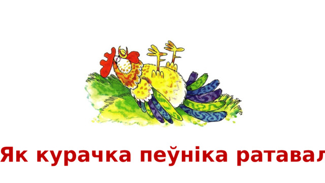 Як курачка пеўніка ратавала 