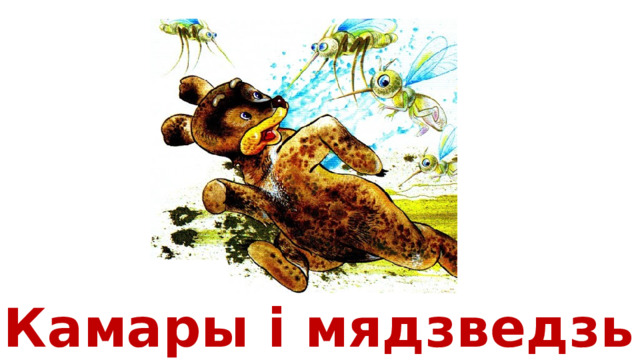 Камары і мядзведзь 