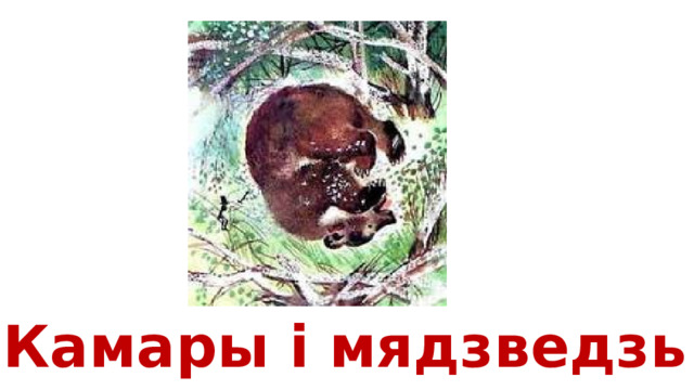 Камары і мядзведзь 