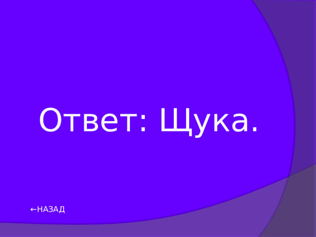 Ответ: Щука. ← НАЗАД 