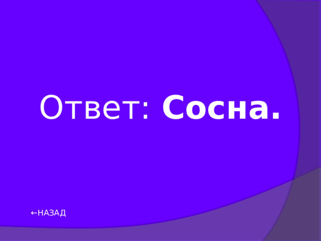 Ответ: Сосна. ← НАЗАД 