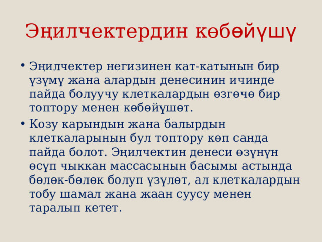 Эңилчектердин көб өйүшү Эңилчектер негизинен кат-катынын бир үзүмү жана алардын денесинин ичинде пайда болуучу клеткалардын өзгөчө бир топтору менен көбөйүшөт. Козу карындын жана балырдын клеткаларынын бул топтору көп санда пайда болот. Эңилчектин денеси өзүнүн өсүп чыккан массасынын басымы астында бөлөк-бөлөк болуп үзүлөт, ал клеткалардын тобу шамал жана жаан суусу менен таралып кетет . 