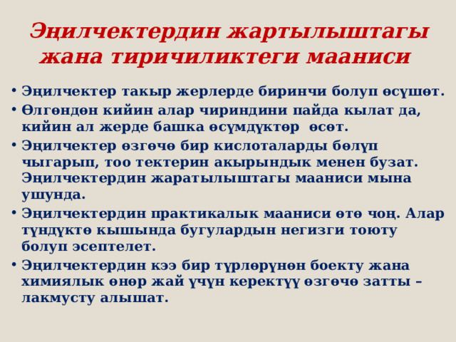 Эңилчектердин жартылыштагы жана тиричиликтеги мааниси Эңилчектер такыр жерлерде биринчи болуп өсүшөт. Өлгөндөн кийин алар чириндини пайда кылат да, кийин ал жерде башка өсүмдүктөр өсөт. Эңилчектер өзгөчө бир кислоталарды бөлүп чыгарып, тоо тектерин акырындык менен бузат. Эңилчектердин жаратылыштагы мааниси мына ушунда. Эңилчектердин практикалык мааниси өтө чоң. Алар түндүктө кышында бугулардын негизги тоюту болуп эсептелет. Эңилчектердин кээ бир түрлөрүнөн боекту жана химиялык өнөр жай үчүн керектүү өзгөчө затты – лакмусту алышат. 