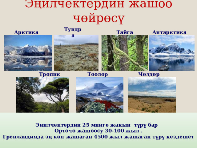 Эңилчектердин жашоо чөйрөсү Арктика Тундра Тайга Антарктика Чөлдөр Тоолор Тропик Эңилчектердин 25 миңге жакын түрү бар  Орточо жашоосу 30-100 жыл .  Гренландияда эң көп жашаган 4500 жыл жашаган түрү кездешет 