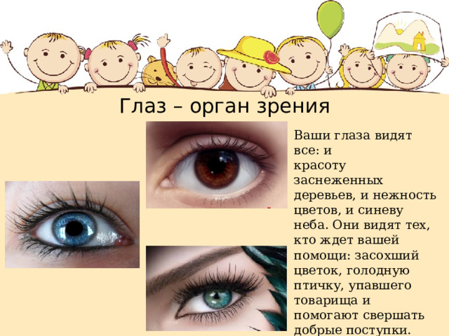 Глаз – орган зрения Ваши глаза видят все: и красоту заснеженных деревьев, и нежность цветов, и синеву неба. Они видят тех, кто ждет вашей помощи: засохший цветок, голодную птичку, упавшего товарища и помогают свершать добрые поступки. Ваши глаза восхитительны и неповторимы. 
