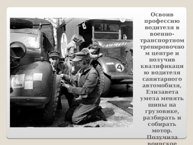 Освоив профессию водителя в военно-транспортном тренировочном центре и получив квалификацию водителя санитарного автомобиля, Елизавета умела менять шины на грузовике, разбирать и собирать мотор.  Получила воинское звание лейтенанта.   