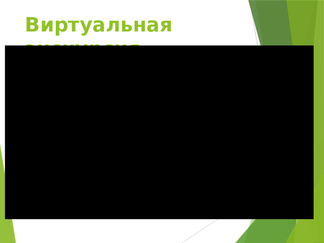 Виртуальная экскурсия 