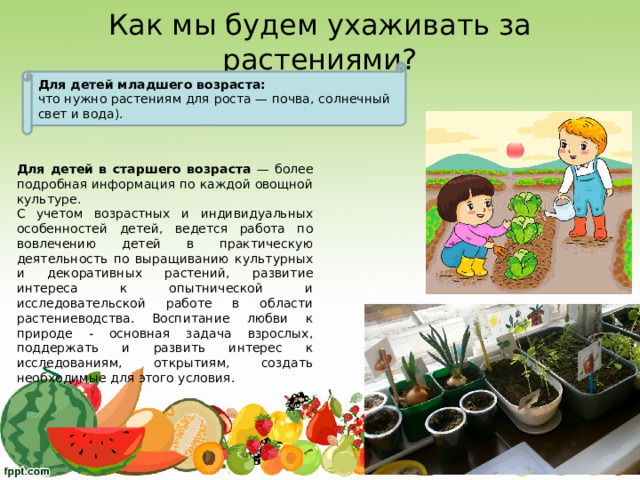 Как мы будем ухаживать за растениями? Для детей младшего возраста: что нужно растениям для роста — почва, солнечный свет и вода). Для детей в старшего возраста — более подробная информация по каждой овощной культуре. С учетом возрастных и индивидуальных особенностей детей, ведется работа по вовлечению детей в практическую деятельность по выращиванию культурных и декоративных растений, развитие интереса к опытнической и исследовательской работе в области растениеводства. Воспитание любви к природе - основная задача взрослых, поддержать и развить интерес к исследованиям, открытиям, создать необходимые для этого условия. 