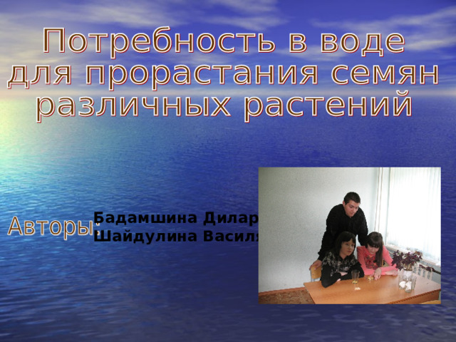 Бадамшина Дилара Шайдулина Василя 
