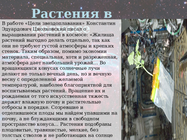 Растения в космосе В работе «Цели звездоплавания» Константин Эдуардович Циолковский писал о выращивании растений в космосе: «Жилища растений выгодно делать отдельно, так как они не требуют густой атмосферы и крепких стенок. Таким образом, помимо экономии материала, специальная, хотя и разреженная, атмосфера дает наибольший урожай… Во вращающихся конусах солнечные лучи делают не только вечный день, но и вечную весну с определенной желаемой температурой, наиболее благоприятной для воспитываемых растений. Вращение их и рождаемая от того искусственная тяжесть держит влажную почву и растительные отбросы в порядке. Созревшие и отделившиеся плоды мы найдем упавшими на почву, а не блуждающими в свободном пространстве конуса… Растения подобраны плодовитые, травянистые, мелкие, без толстых стволов и не работающих на солнце частей. Чем они более утилизируют солнечный свет, чем больше дают плодов, тем больше поглощают солнечной энергии и тепла». 
