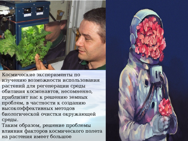 Космические эксперименты по изучению возможности использования растений для регенерации среды обитания космонавтов, несомненно, приблизят нас к решению земных проблем, в частности к созданию высокоэффективных методов биологической очистки окружающей среды. Таким образом, решение проблемы влияния факторов космического полета на растения имеет большое практическое значение, поэтому новые данные в этой области знания заслуживают самого пристального внимания. 