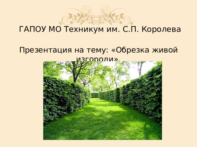 ГАПОУ МО Техникум им. С.П. Королева Презентация на тему: «Обрезка живой изгороди». уу 