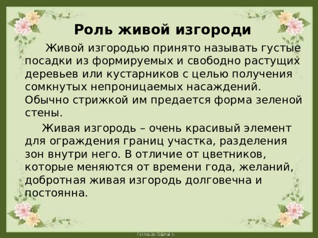 Роль живой изгороди  Живой изгородью принято называть густые посадки из формируемых и свободно растущих деревьев или кустарников с целью получения сомкнутых непроницаемых насаждений. Обычно стрижкой им предается форма зеленой стены.  Живая изгородь – очень красивый элемент для ограждения границ участка, разделения зон внутри него. В отличие от цветников, которые меняются от времени года, желаний, добротная живая изгородь долговечна и постоянна. 