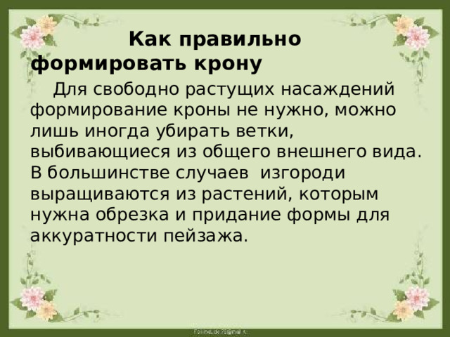  Как правильно формировать крону  Для свободно растущих насаждений формирование кроны не нужно, можно лишь иногда убирать ветки, выбивающиеся из общего внешнего вида. В большинстве случаев  изгороди выращиваются из растений, которым нужна обрезка и придание формы для аккуратности пейзажа. 