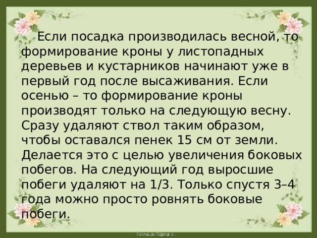  Если посадка производилась весной, то формирование кроны у листопадных деревьев и кустарников начинают уже в первый год после высаживания. Если осенью – то формирование кроны производят только на следующую весну. Сразу удаляют ствол таким образом, чтобы оставался пенек 15 см от земли. Делается это с целью увеличения боковых побегов. На следующий год выросшие побеги удаляют на 1/3. Только спустя 3–4 года можно просто ровнять боковые побеги.   