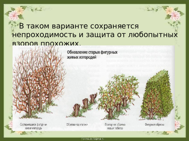  В таком варианте сохраняется непроходимость и защита от любопытных взоров прохожих.   