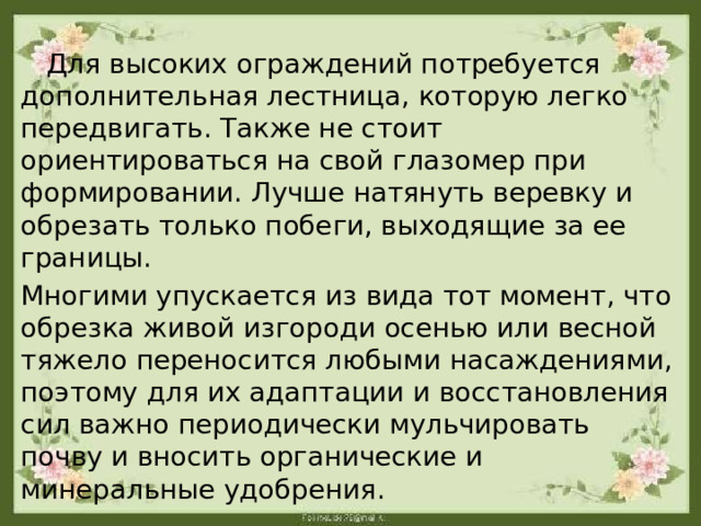  Для высоких ограждений потребуется дополнительная лестница, которую легко передвигать. Также не стоит ориентироваться на свой глазомер при формировании. Лучше натянуть веревку и обрезать только побеги, выходящие за ее границы. Многими упускается из вида тот момент, что обрезка живой изгороди осенью или весной тяжело переносится любыми насаждениями, поэтому для их адаптации и восстановления сил важно периодически мульчировать почву и вносить органические и минеральные удобрения. 
