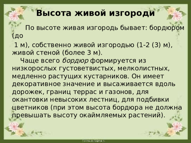 Высота живой изгороди  По высоте живая изгородь бывает: бордюром (до  1 м), собственно живой изгородью (1-2 (3) м), живой стеной (более 3 м).  Чаще всего  бордюр  формируется из низкорослых густоветвистых, мелколистных, медленно растущих кустарников. Он имеет декоративное значение и высаживается вдоль дорожек, границ террас и газонов, для окантовки невысоких лестниц, для подбивки цветников (при этом высота бордюра не должна превышать высоту окаймляемых растений).    