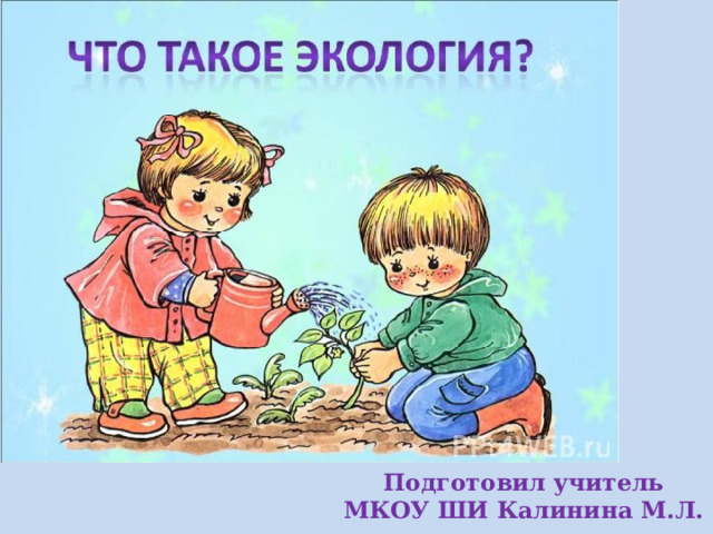Подготовил учитель МКОУ ШИ Калинина М.Л. 