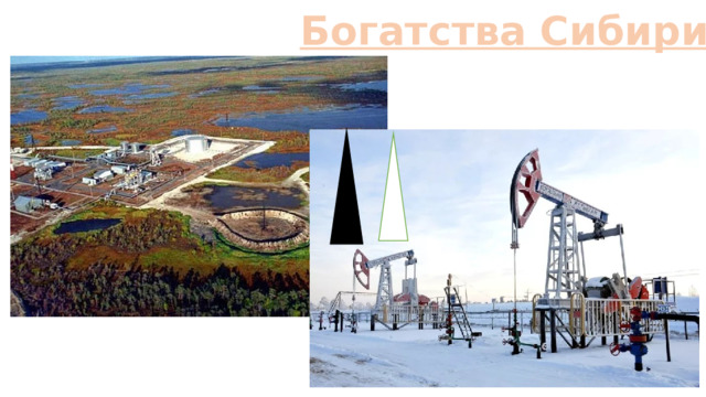 Богатства Сибири