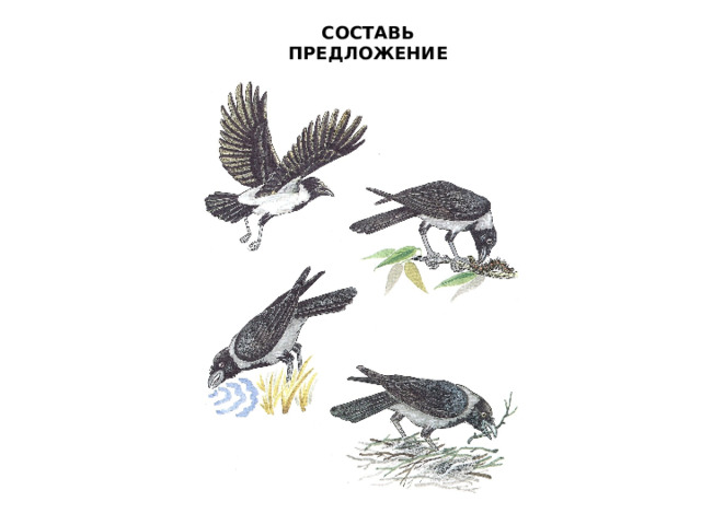 СОСТАВЬ ПРЕДЛОЖЕНИЕ 