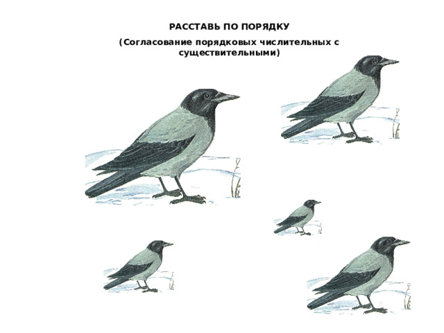 РАССТАВЬ ПО ПОРЯДКУ (Согласование порядковых числительных с существительными) 