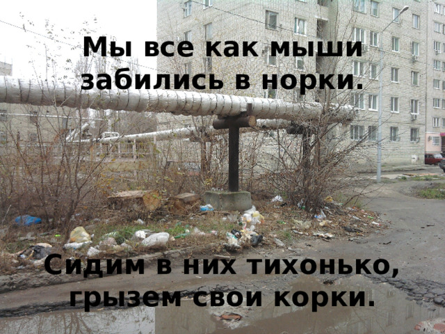 Мы все как мыши забились в норки. Сидим в них тихонько, грызем свои корки. 