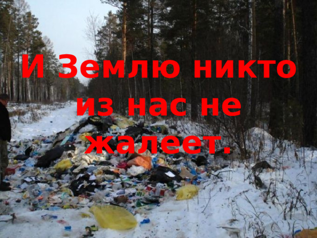 И Землю никто из нас не  жалеет. 