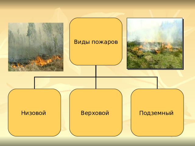 Виды пожаров Низовой Верховой Подземный 