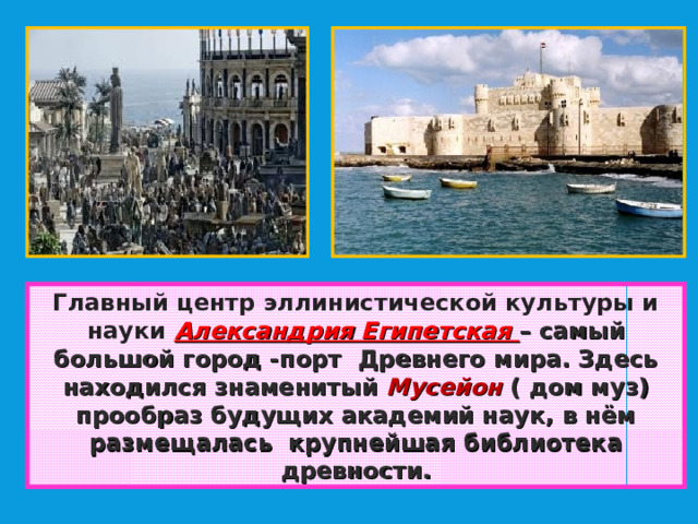 Главный центр эллинистической культуры и науки Александрия Египетская – самый большой город -порт Древнего мира. Здесь находился знаменитый Мусейон ( дом муз) прообраз будущих академий наук, в нём размещалась крупнейшая библиотека древности. 