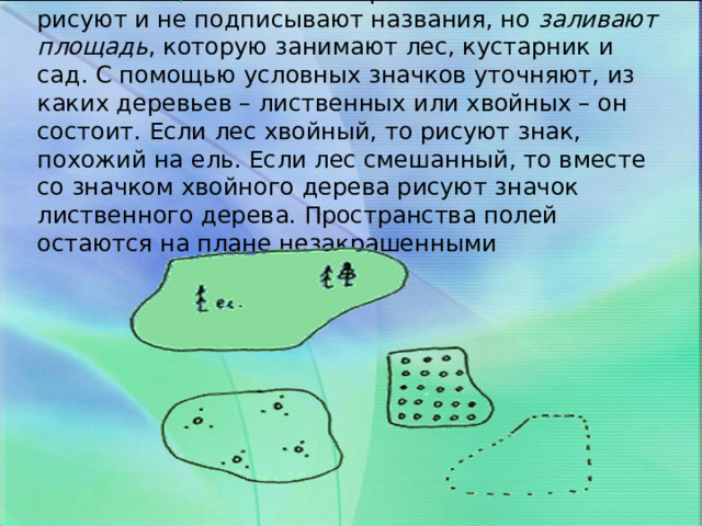  З еленый цвет  называют фоновым – им не рисуют и не подписывают названия, но заливают площадь , которую занимают лес, кустарник и сад. С помощью условных значков уточняют, из каких деревьев – лиственных или хвойных – он состоит. Если лес хвойный, то рисуют знак, похожий на ель. Если лес смешанный, то вместе со значком хвойного дерева рисуют значок лиственного дерева. Пространства полей остаются на плане незакрашенными 