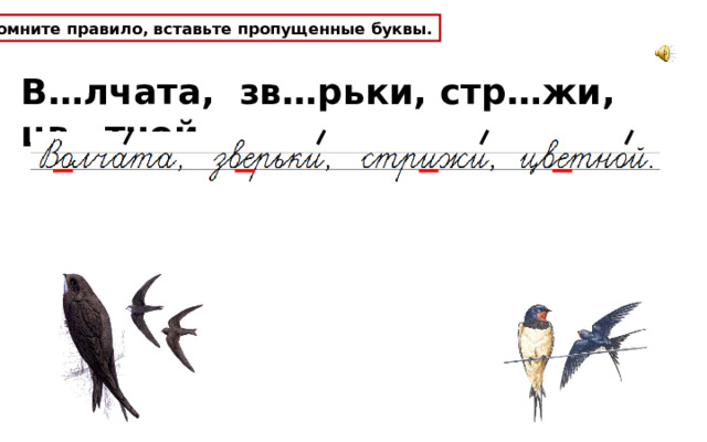 Вспомните правило, вставьте пропущенные буквы. В…лчата, зв…рьки, стр…жи, цв…тной. 