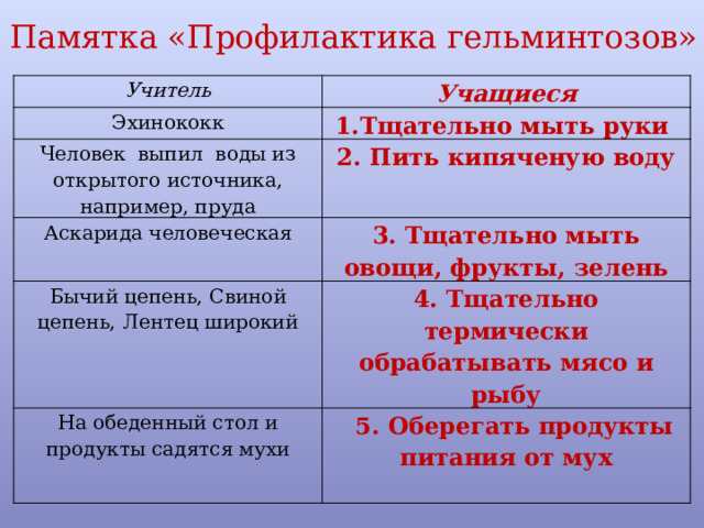 Памятка «Профилактика гельминтозов» Учитель Учащиеся Эхинококк 1.Тщательно мыть руки Человек выпил воды из открытого источника, например, пруда 2. Пить кипяченую воду Аскарида человеческая 3. Тщательно мыть овощи, фрукты, зелень Бычий цепень, Свиной цепень, Лентец широкий 4. Тщательно термически обрабатывать мясо и рыбу На обеденный стол и продукты садятся мухи  5. Оберегать продукты питания от мух   
