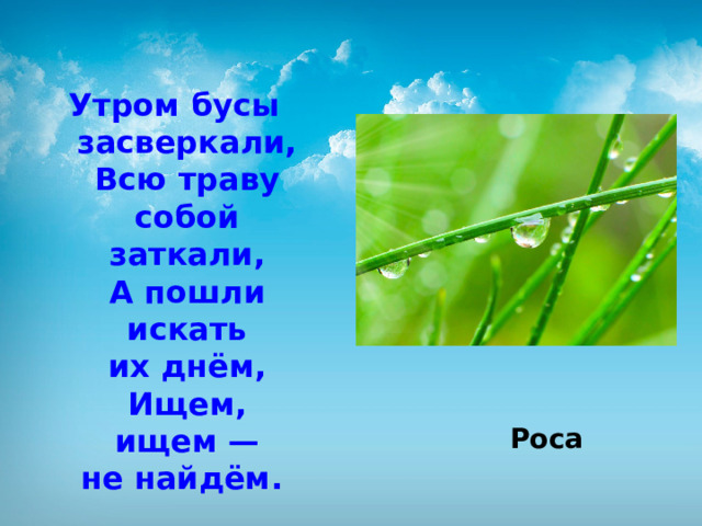 Утром бусы засверкали,  Всю траву собой заткали,  А пошли искать их днём,  Ищем, ищем — не найдём.    Роса 