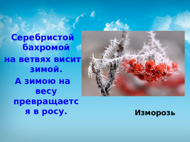 Серебристой бахромой на ветвях висит зимой. А зимою на весу превращается в росу. Изморозь 