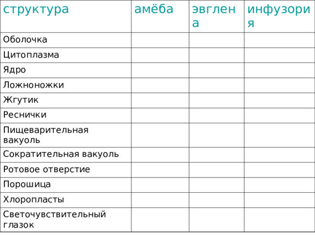 структура амёба Оболочка эвглена Цитоплазма инфузория Ядро Ложноножки Жгутик Реснички Пищеварительная вакуоль Сократительная вакуоль Ротовое отверстие Порошица Хлоропласты Светочувствительный глазок 