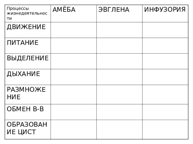 Процессы жизнедеятельности АМЁБА ДВИЖЕНИЕ ПИТАНИЕ ЭВГЛЕНА ИНФУЗОРИЯ ВЫДЕЛЕНИЕ ДЫХАНИЕ РАЗМНОЖЕНИЕ ОБМЕН В-В ОБРАЗОВАНИЕ ЦИСТ 