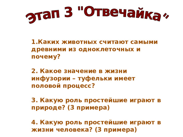 1.Каких животных считают самыми древними из одноклеточных и почему?  2. Какое значение в жизни инфузории – туфельки имеет половой процесс?  3. Какую роль простейшие играют в природе? (3 примера)  4. Какую роль простейшие играют в жизни человека? (3 примера) 