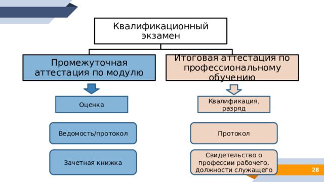 Квалификационный экзамен Промежуточная аттестация по модулю Итоговая аттестация по профессиональному обучению Оценка Квалификация, разряд Ведомость/протокол Протокол Зачетная книжка Свидетельство о профессии рабочего, должности служащего  