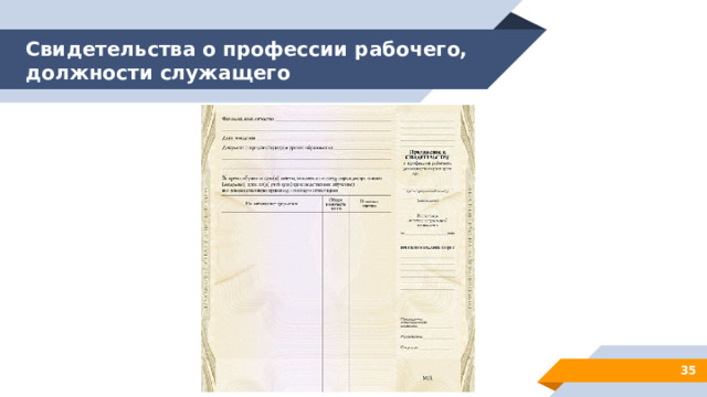 Свидетельства о профессии рабочего, должности служащего 28 