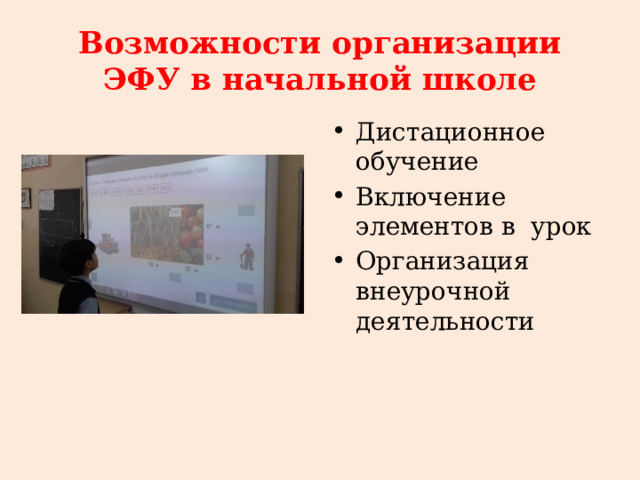 Возможности организации ЭФУ в начальной школе Дистационное обучение Включение элементов в урок Организация внеурочной деятельности 