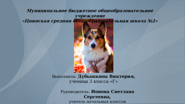 Муниципальное бюджетное общеобразовательное учреждение «Цнинская средняя общеобразовательная школа №2» Выполнила: Дубышкина Виктория,  ученица 3 класса «Г» Руководитель: Ионова Светлана Сергеевна,  учитель начальных классов 