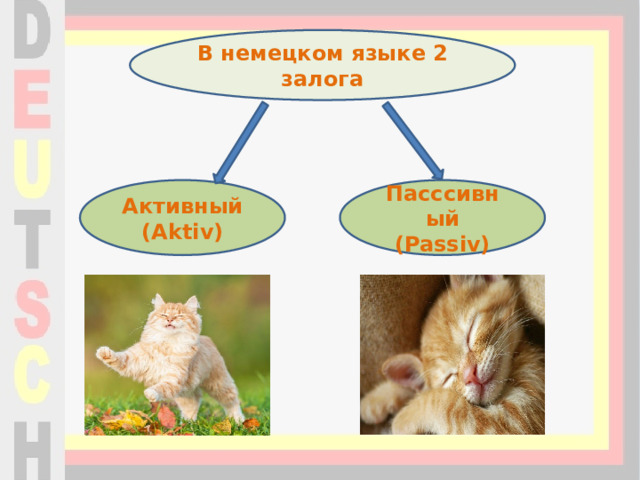 В немецком языке 2 залога Активный (Aktiv) Пасссивный (Passiv) 