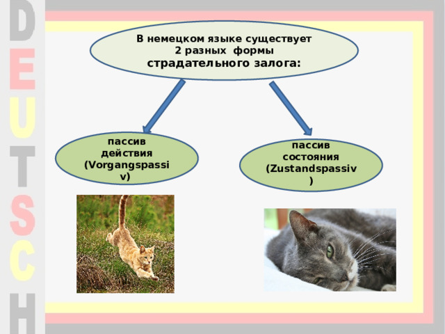 В немецком языке существует 2 разных  формы страдательного залога: пассив действия (Vorgangspassiv) пассив состояния (Zustandspassiv)  